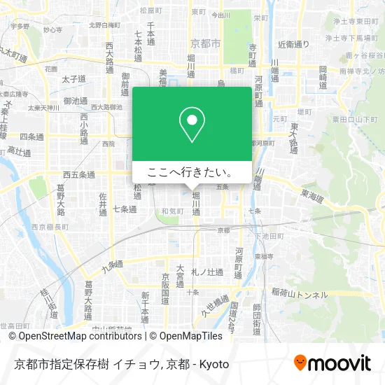 京都市指定保存樹 イチョウ地図