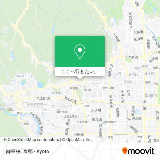 御室桜地図