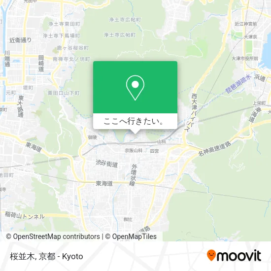 桜並木地図