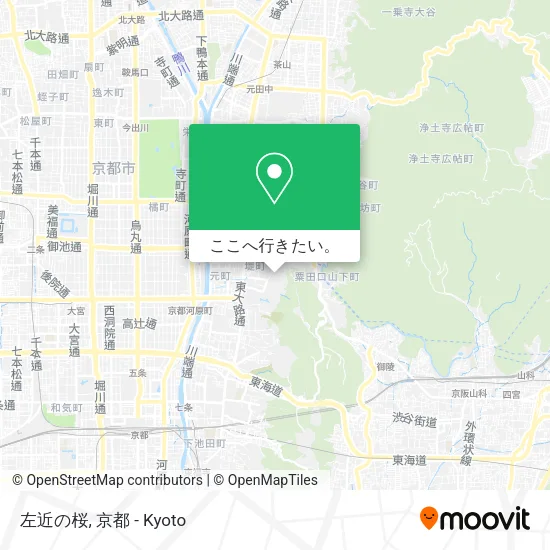 左近の桜地図