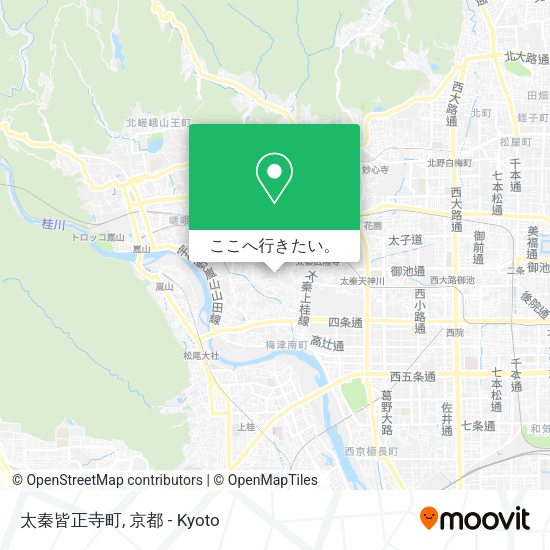 太秦皆正寺町地図