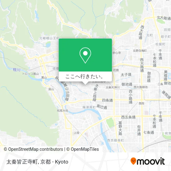 太秦皆正寺町地図