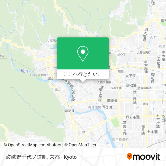 嵯峨野千代ノ道町地図