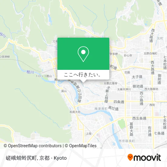 嵯峨蜻蛉尻町地図