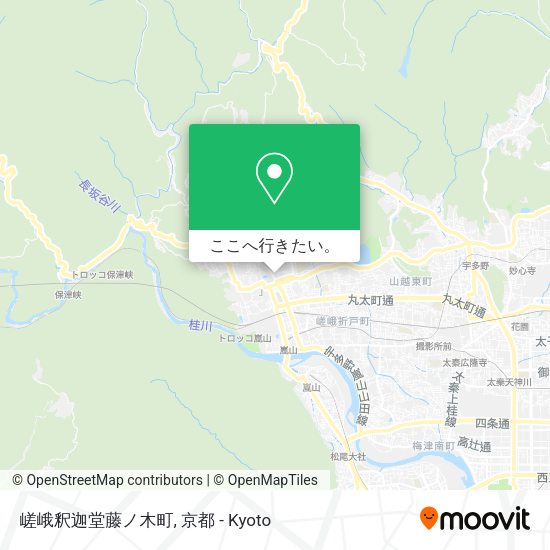 嵯峨釈迦堂藤ノ木町地図