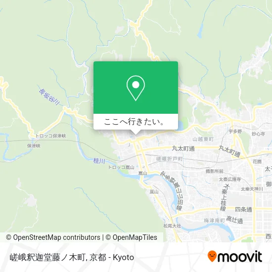嵯峨釈迦堂藤ノ木町地図