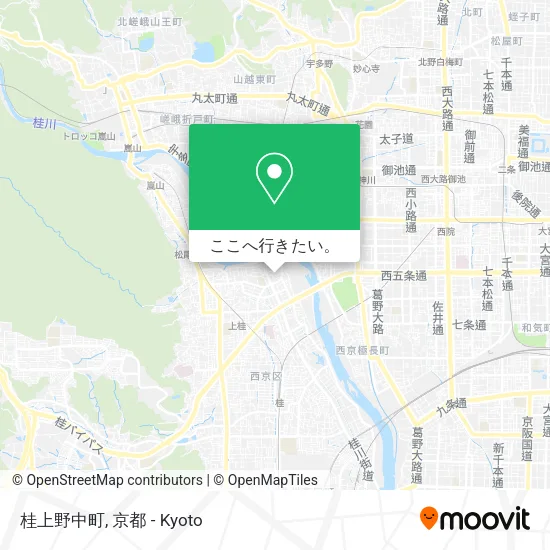 桂上野中町地図