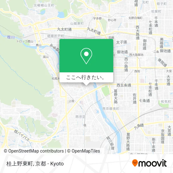 桂上野東町地図