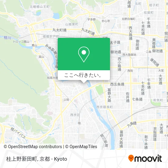 桂上野新田町地図