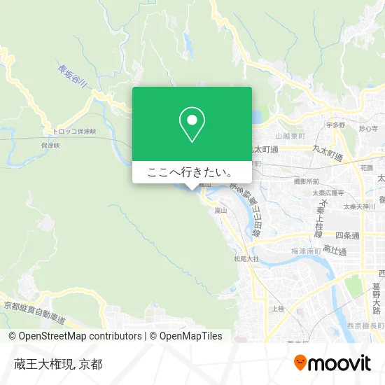 蔵王大権現地図