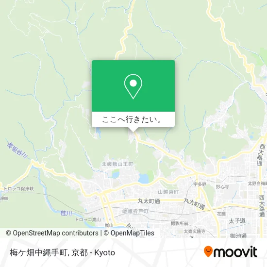 梅ケ畑中縄手町地図