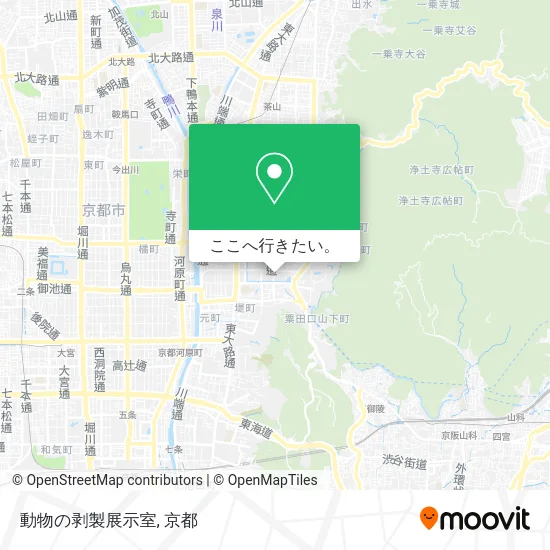 動物の剥製展示室地図