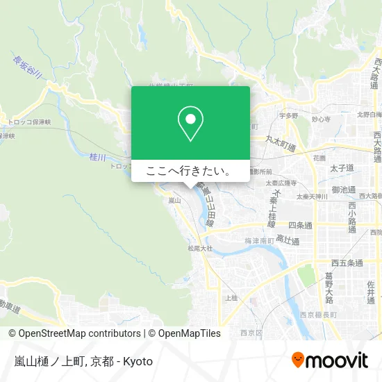 嵐山樋ノ上町地図