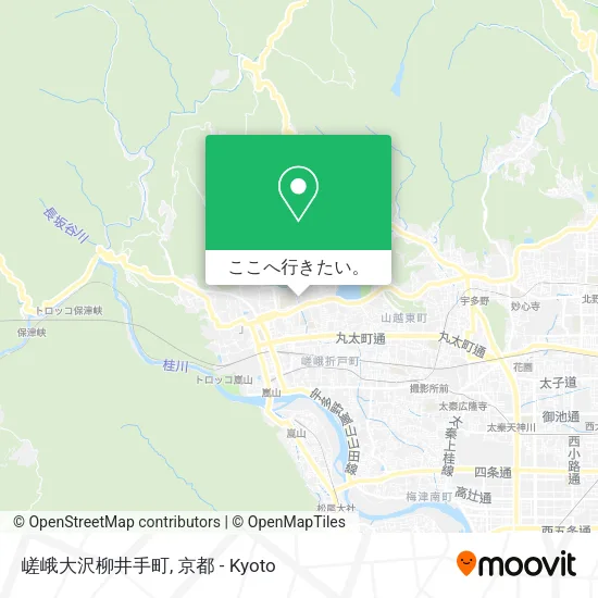 嵯峨大沢柳井手町地図