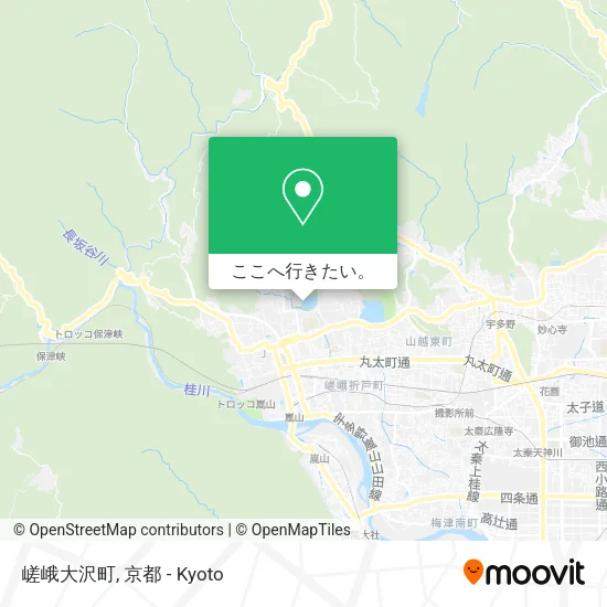 嵯峨大沢町地図