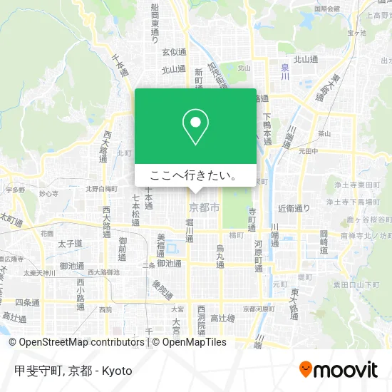甲斐守町地図