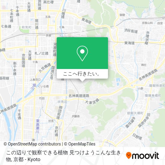 この辺りで観察できる植物 見つけようこんな生き物地図