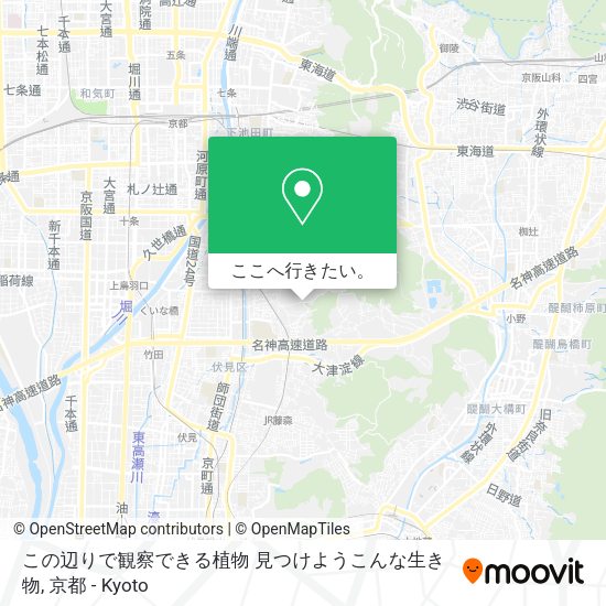 この辺りで観察できる植物 見つけようこんな生き物地図