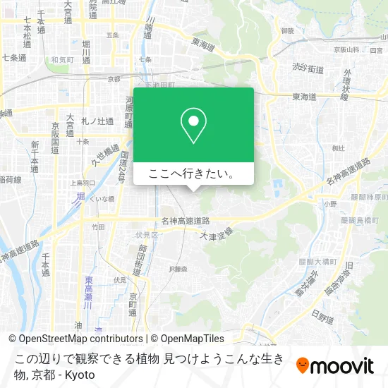 この辺りで観察できる植物 見つけようこんな生き物地図