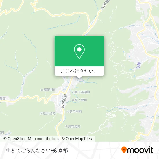 生きてごらんなさい桜地図