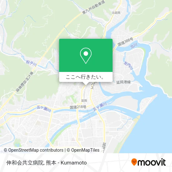 伸和会共立病院地図
