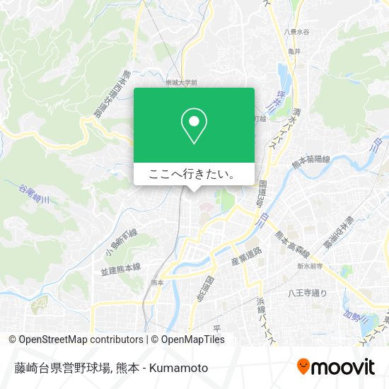 藤崎台県営野球場地図