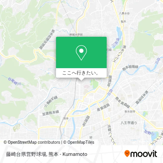 藤崎台県営野球場地図
