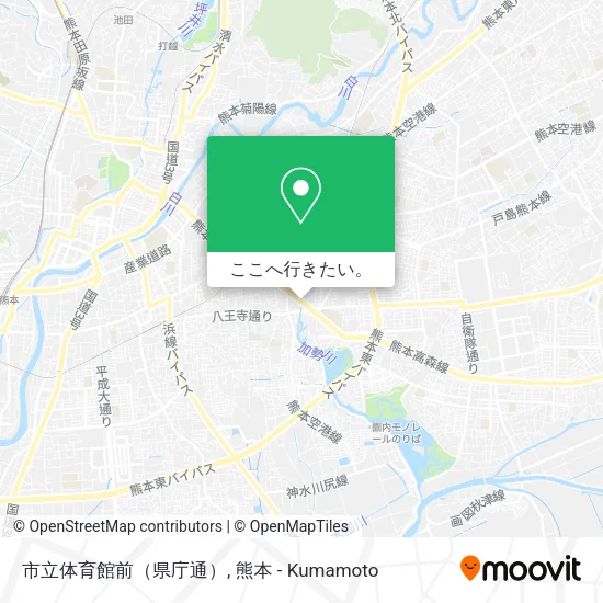 市立体育館前（県庁通）地図