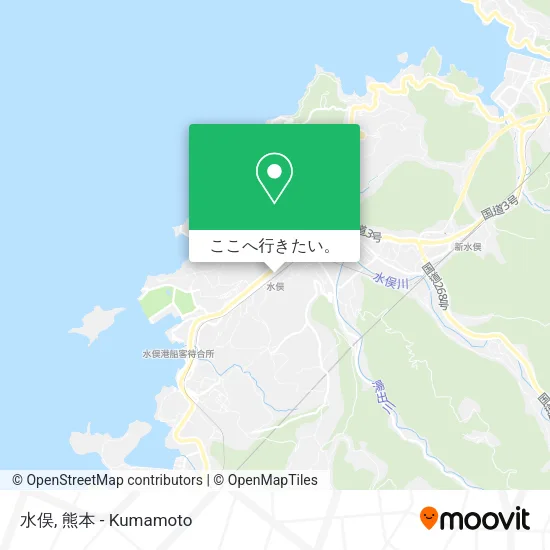 水俣地図