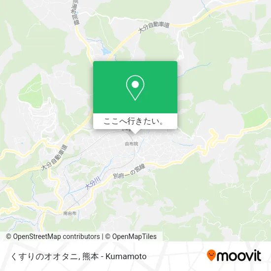 くすりのオオタニ地図