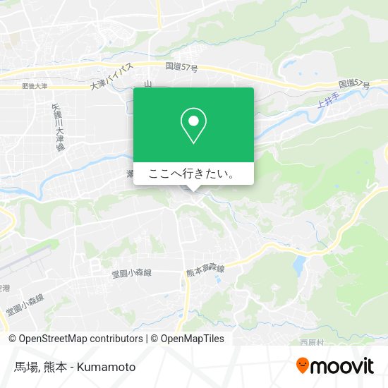 馬場地図