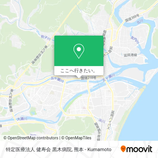 特定医療法人 健寿会 黒木病院地図