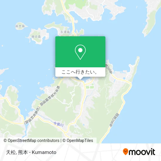 天松地図