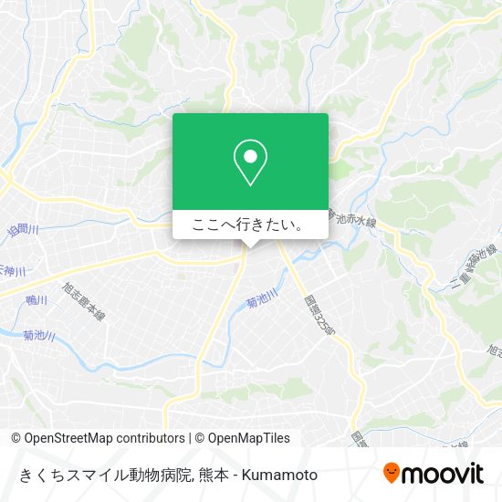 きくちスマイル動物病院地図
