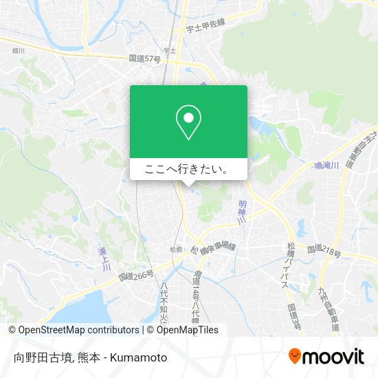 向野田古墳地図