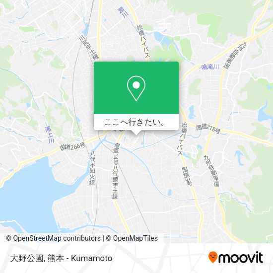 大野公園地図