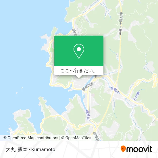 大丸地図