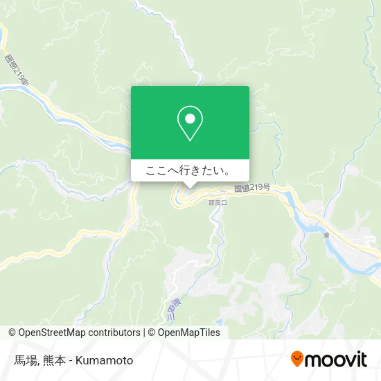 馬場地図