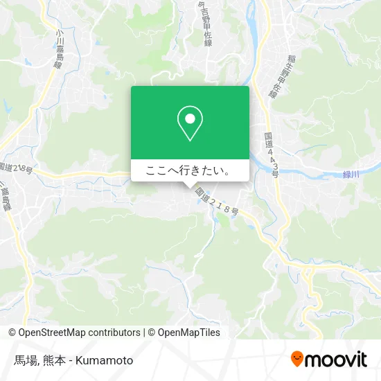 馬場地図