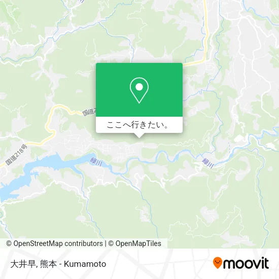 大井早地図