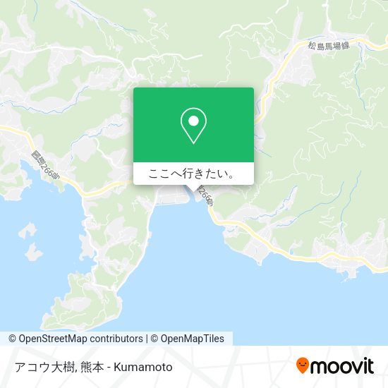 アコウ大樹地図