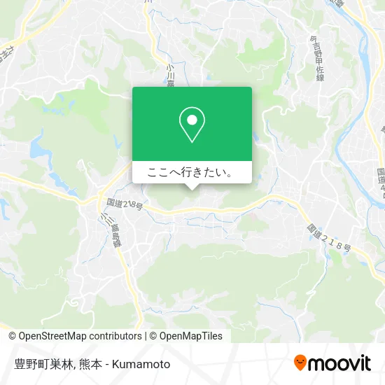 豊野町巣林地図