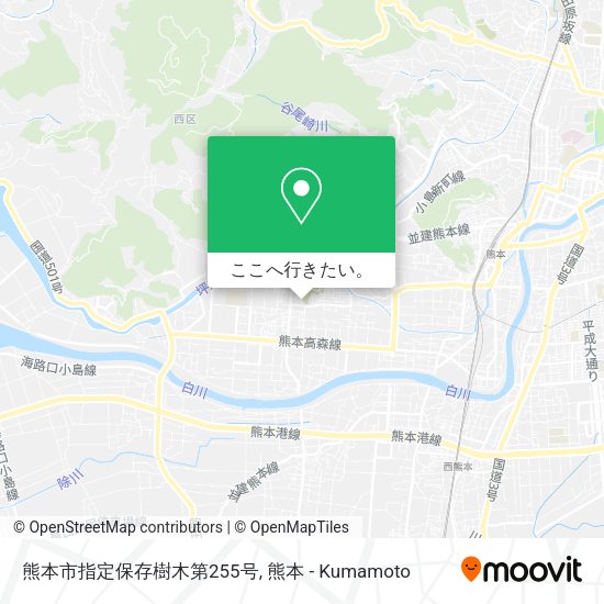 熊本市指定保存樹木第255号地図