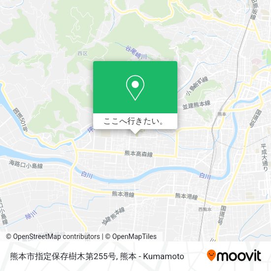熊本市指定保存樹木第255号地図