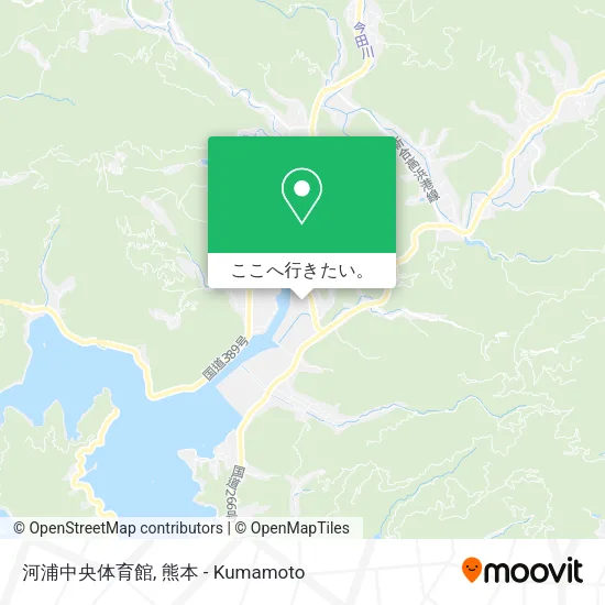河浦中央体育館地図