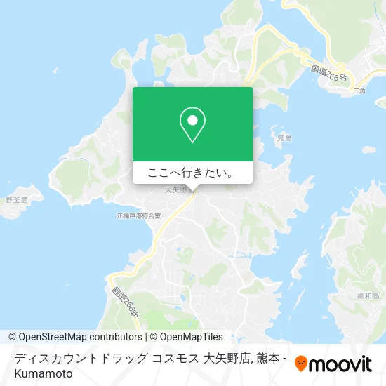 ディスカウントドラッグ コスモス 大矢野店地図