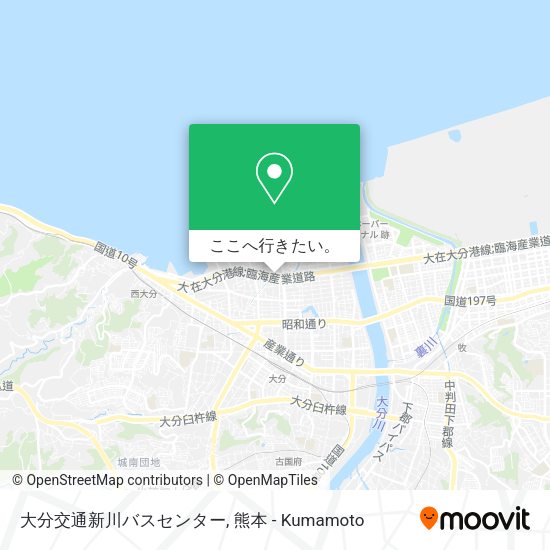 大分交通新川バスセンター地図