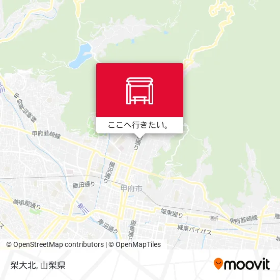 梨大北地図