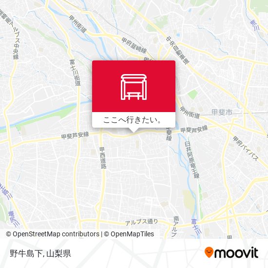 野牛島下地図