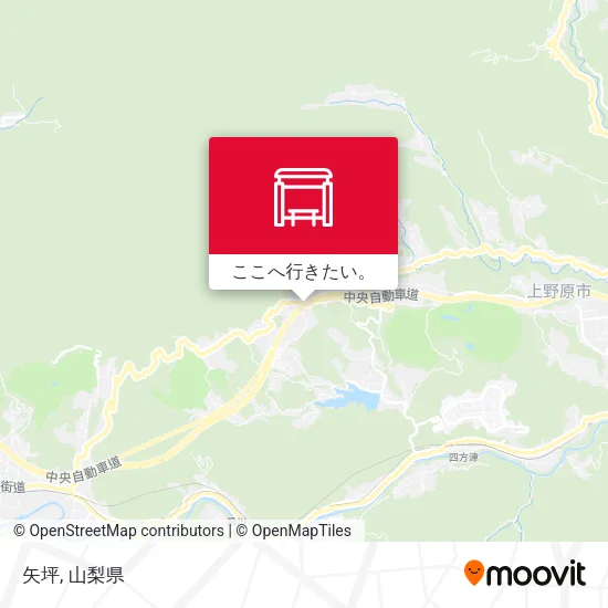 矢坪地図